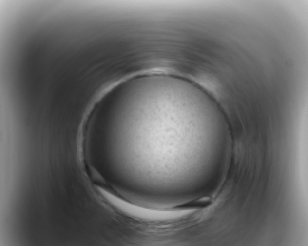 X0000088731374200706071631