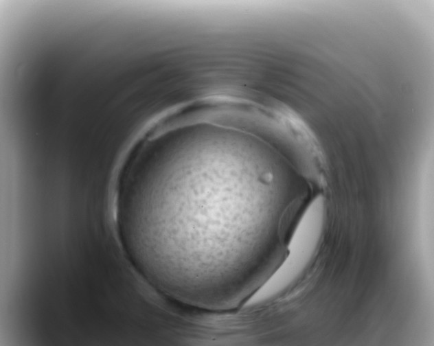 X0000088731376200706071631