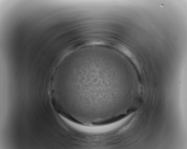 X0000088731377200706071631