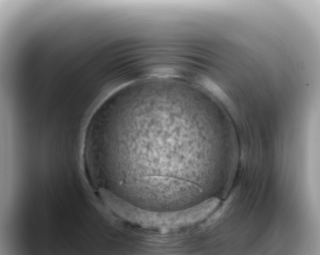 X0000088731378200706071631