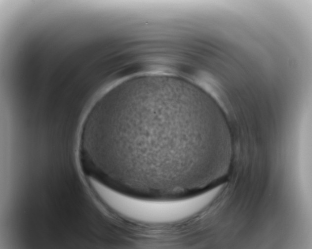 X0000088731379200706071631