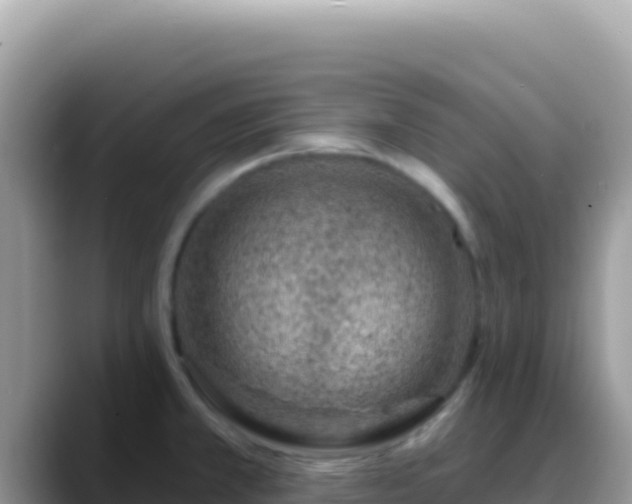 X0000088731381200706071631