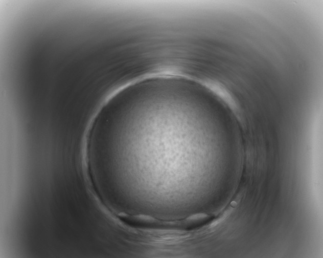 X0000088731382200706071631
