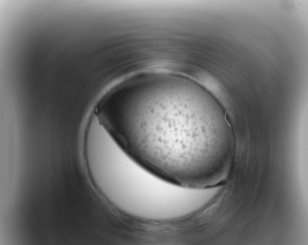 X0000088731384200706071631
