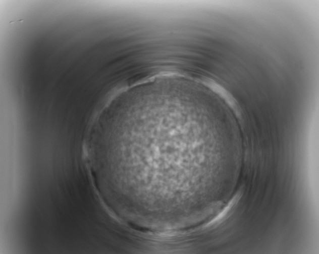 X0000088731385200706071631