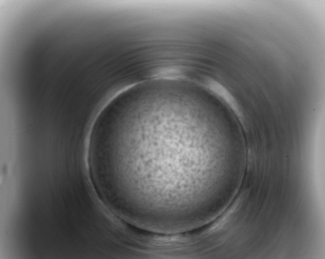 X0000088731386200706071631