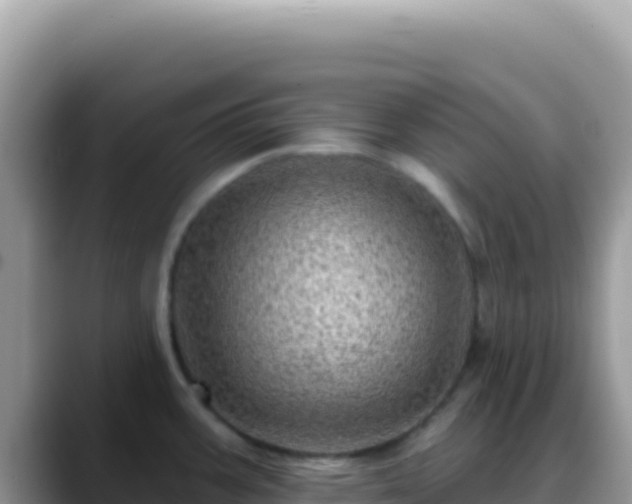 X0000088731387200706071631