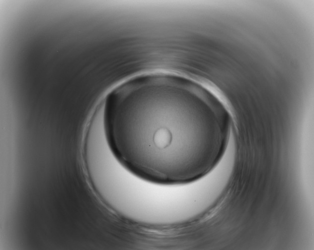X0000088731388200706071631