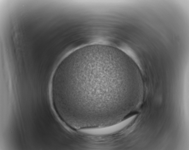 X0000088731391200706071631