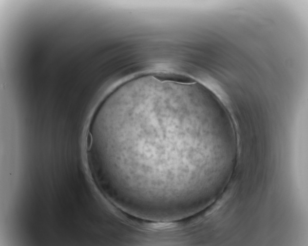X0000088731392200706071631