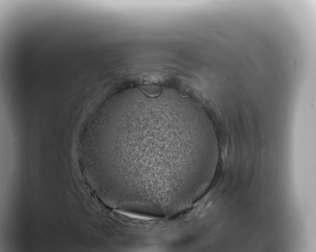 X0000088731393200706071630