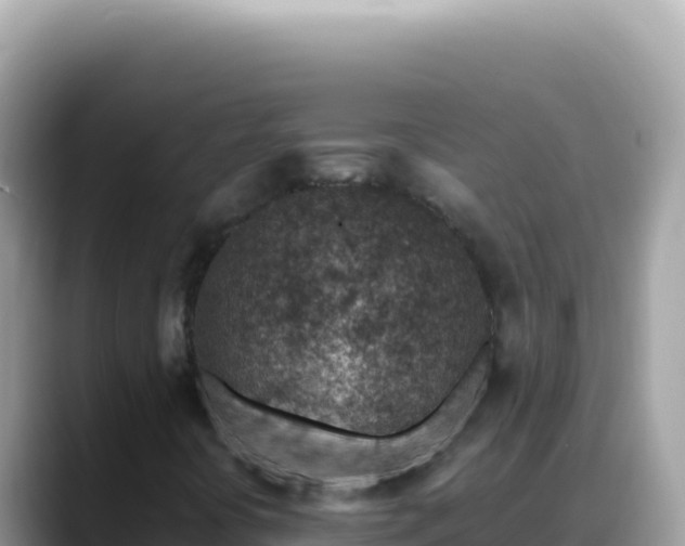 X0000088731394200706071630