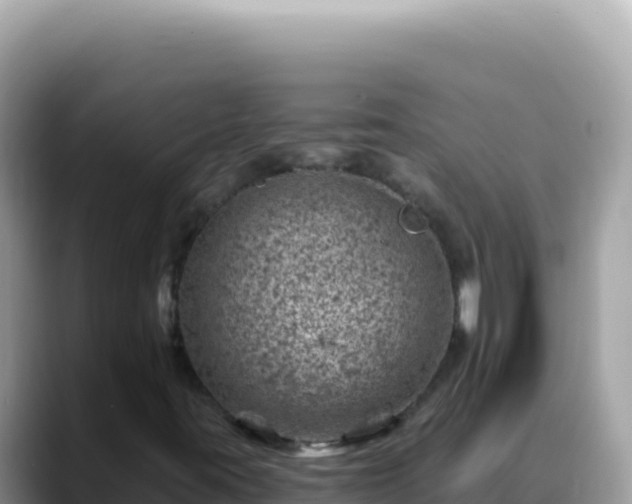 X0000088731395200706071630
