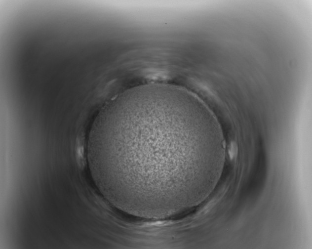 X0000088731396200706071630