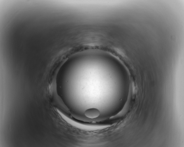 X0000088731398200706071630