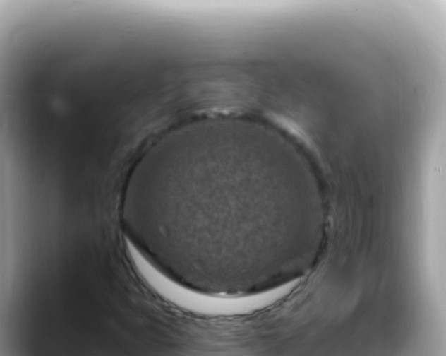 X0000088731399200706071630