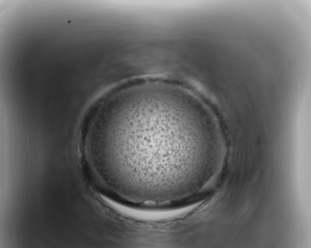 X0000088731400200706071630