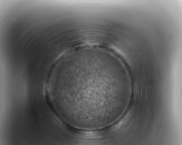 X0000088731401200706071630