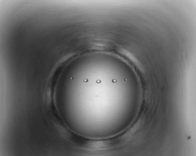 X0000088731402200706071630