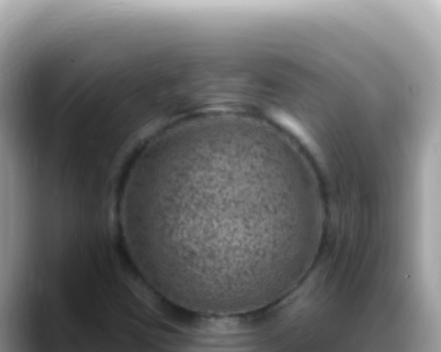 X0000088731403200706071630