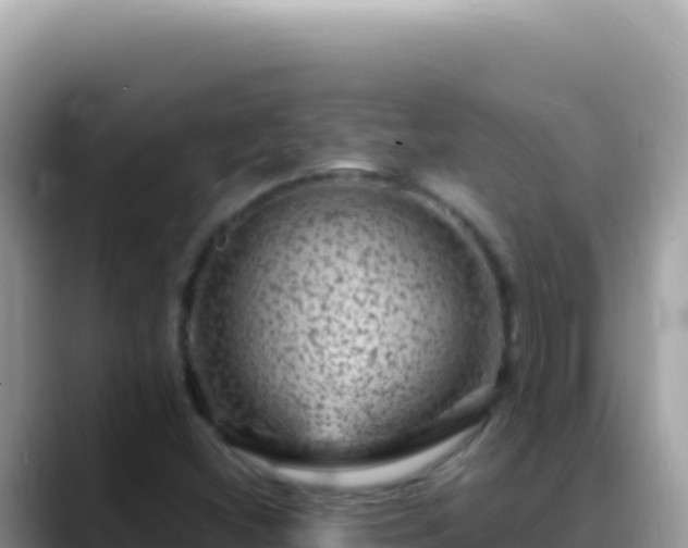 X0000088731404200706071630