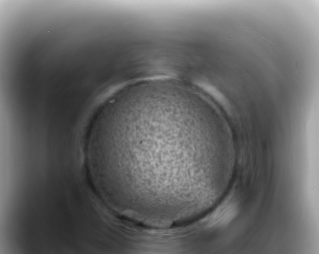 X0000088731407200706071630