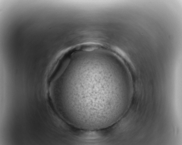 X0000088731408200706071630