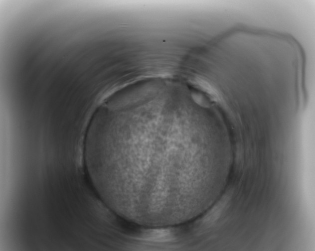 X0000088731409200706071630