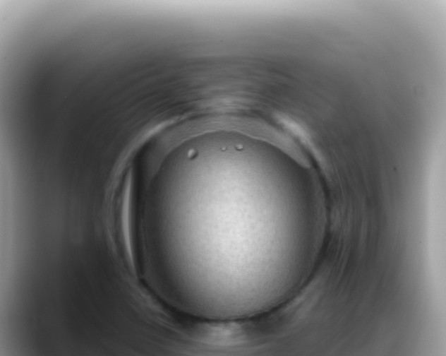 X0000088731410200706071630