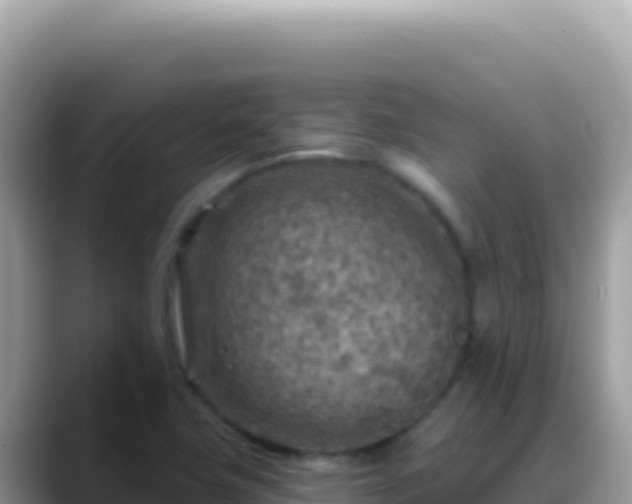 X0000088731411200706071631