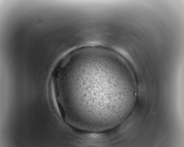 X0000088731412200706071631