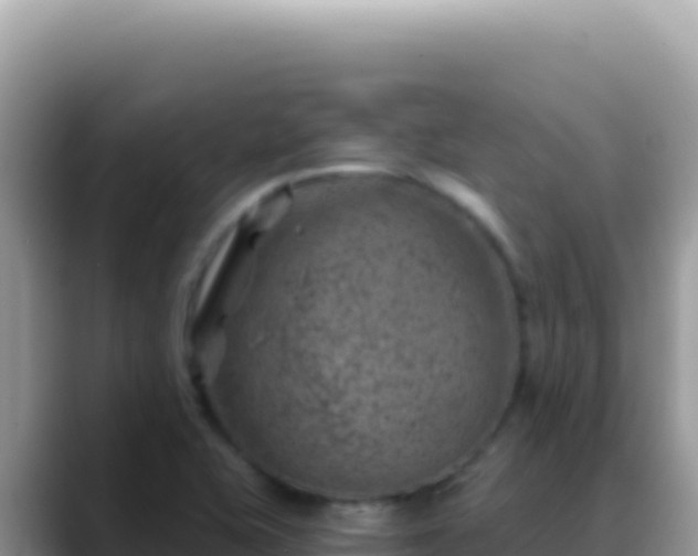 X0000088731415200706071631