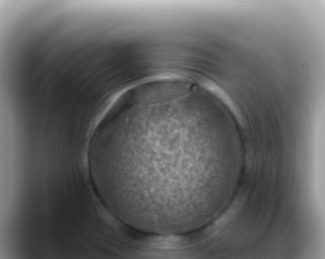 X0000088731417200706071631