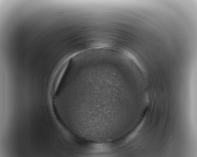 X0000088731418200706071631