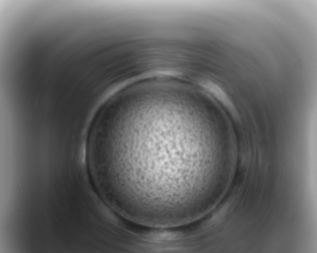 X0000088731420200706071631