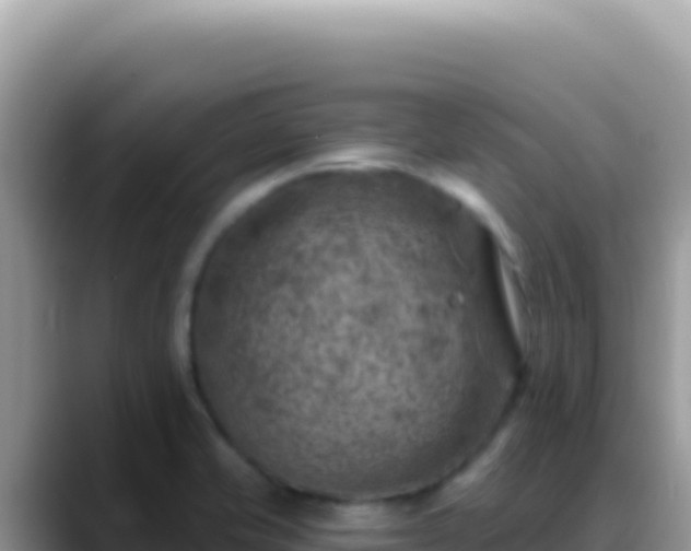 X0000088731421200706071631