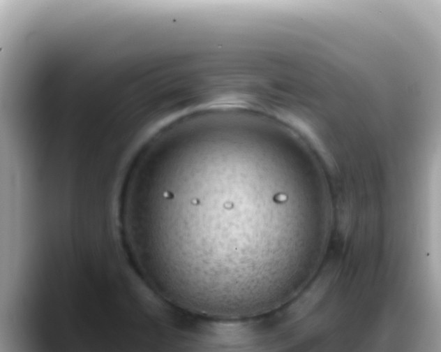 X0000088731422200706071631
