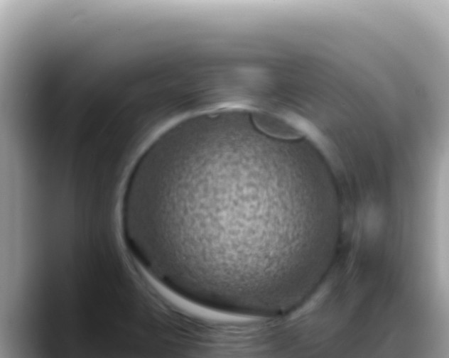 X0000088731423200706071631