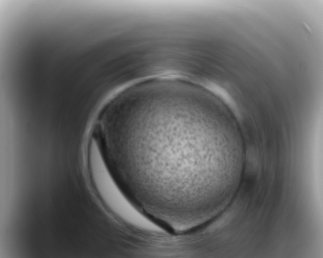 X0000088731424200706071631