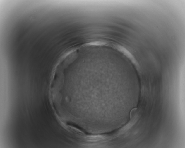 X0000088731425200706071631