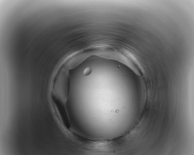 X0000088731426200706071631
