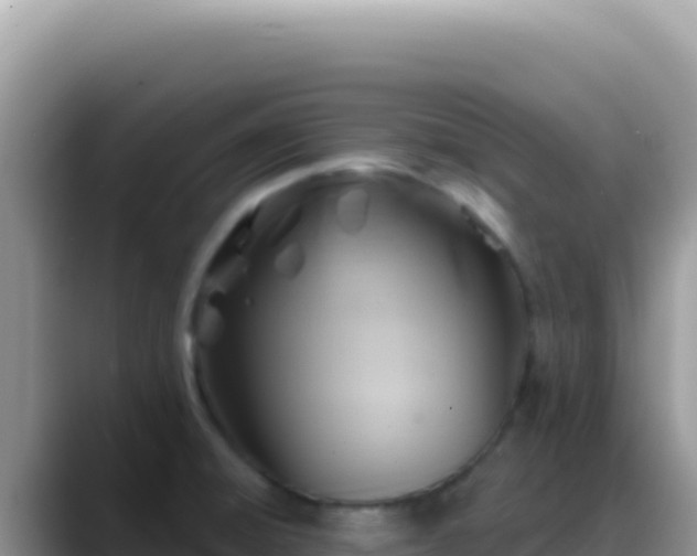 X0000088731428200706071631