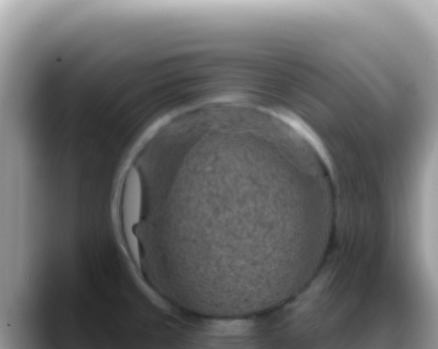 X0000088731429200706071631