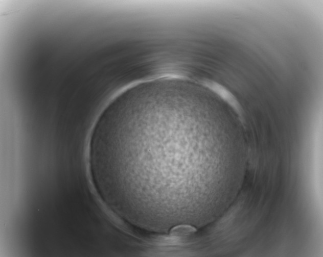 X0000088731431200706071631