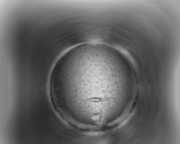 X0000088731432200706071631