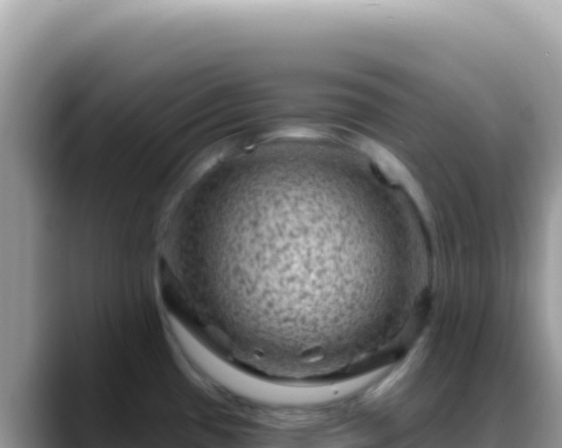 X0000088731433200706071631