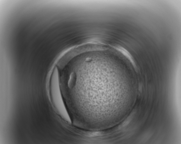 X0000088731435200706071631
