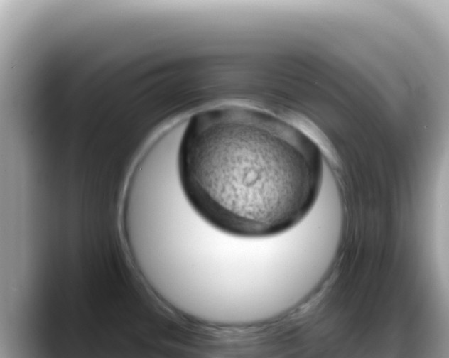 X0000088731436200706071631