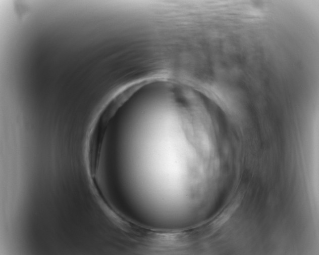 X0000088731438200706071631