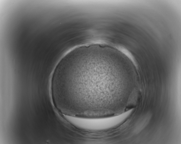 X0000088731439200706071631